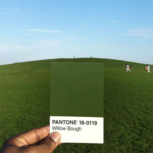 pantoneproject7